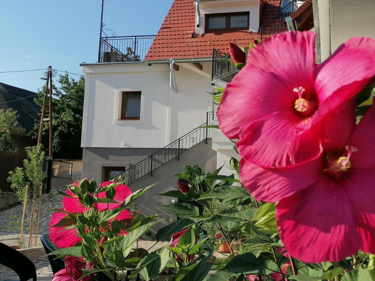 Szigligeti Mandula Kert Vendeghaz Daire Dış mekan fotoğraf